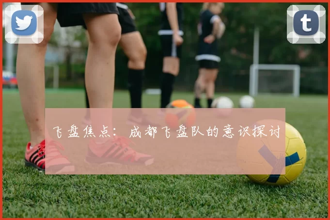 飞盘焦点：成都飞盘队的意识探讨
