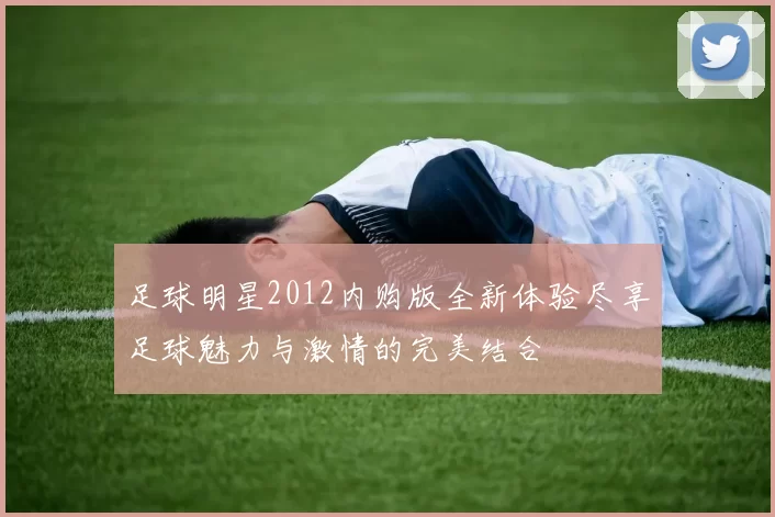 足球明星2012内购版全新体验尽享足球魅力与激情的完美结合