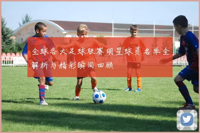 全球各大足球联赛明星球员名单全解析与精彩瞬间回顾